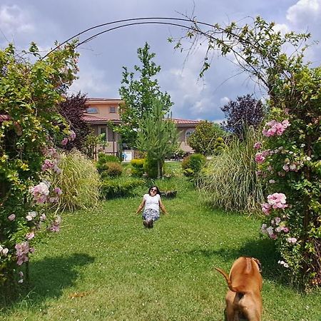 סקופיה Green Villa Rodna מראה חיצוני תמונה